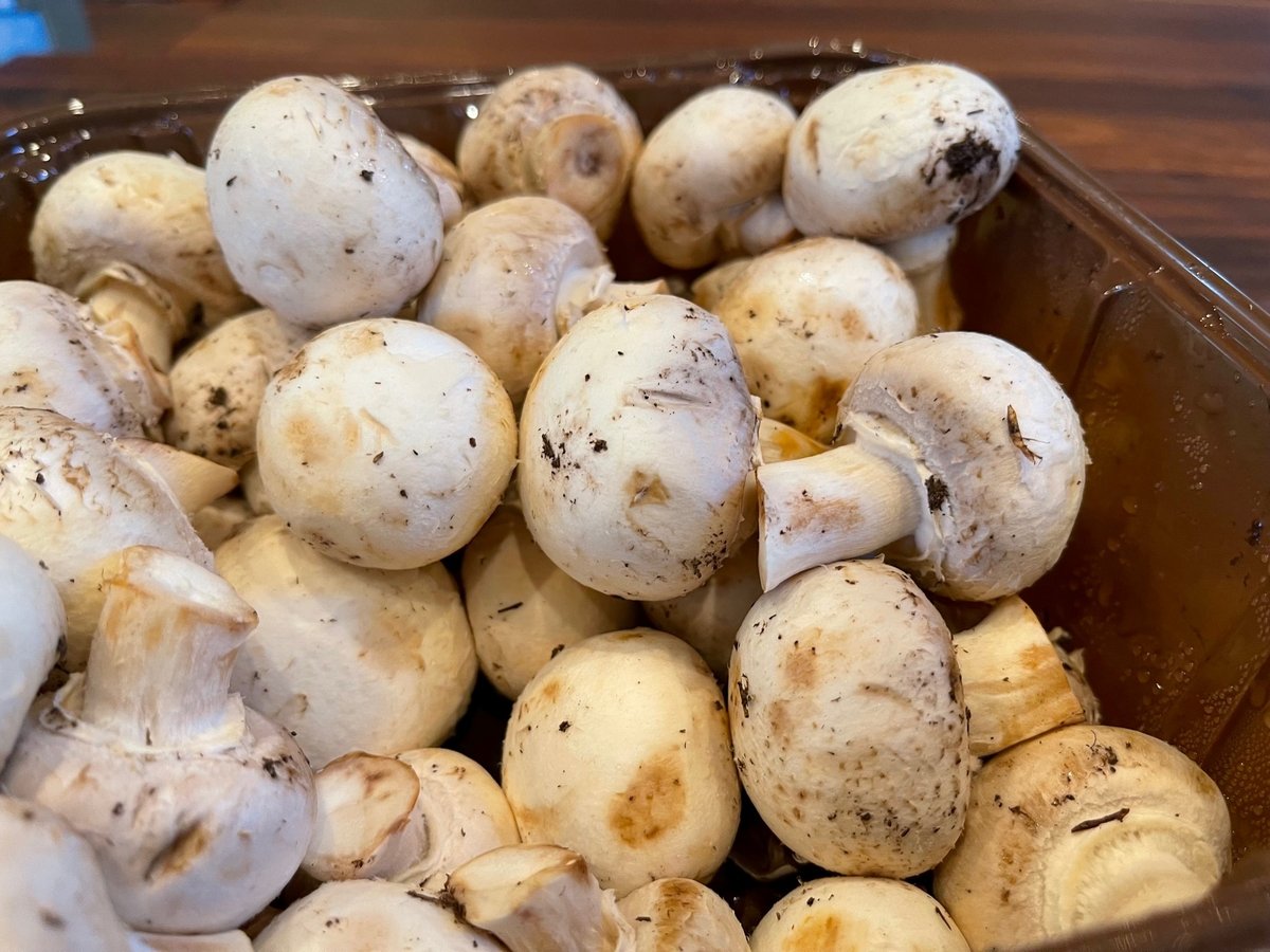 How To Clean Mushrooms